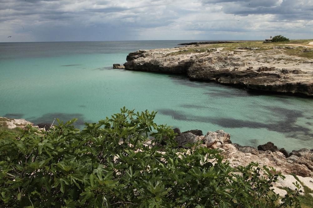 Playa Del Mar - Adults Only Bed & Breakfast Monopoli Luaran gambar