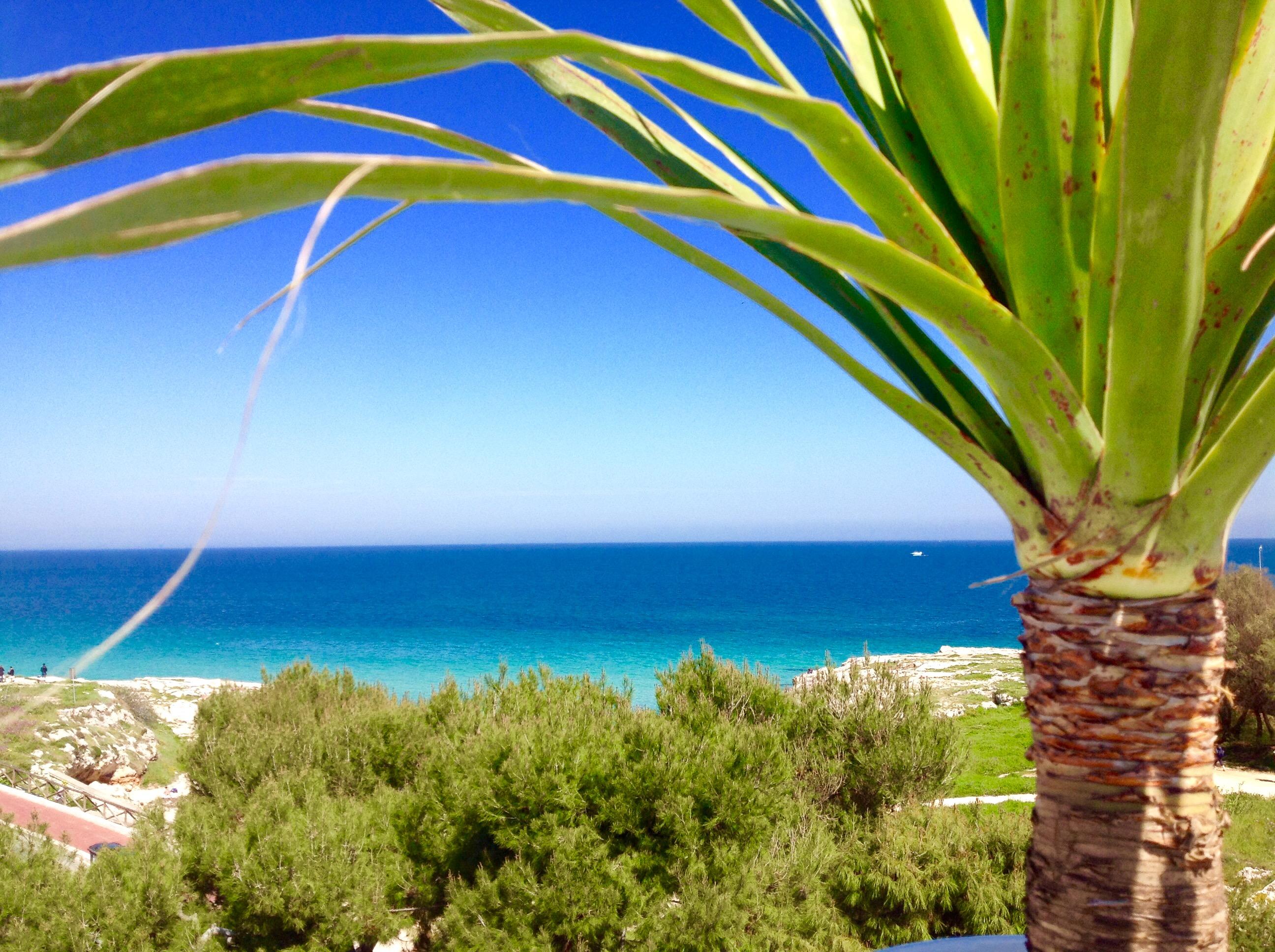 Playa Del Mar - Adults Only Bed & Breakfast Monopoli Luaran gambar