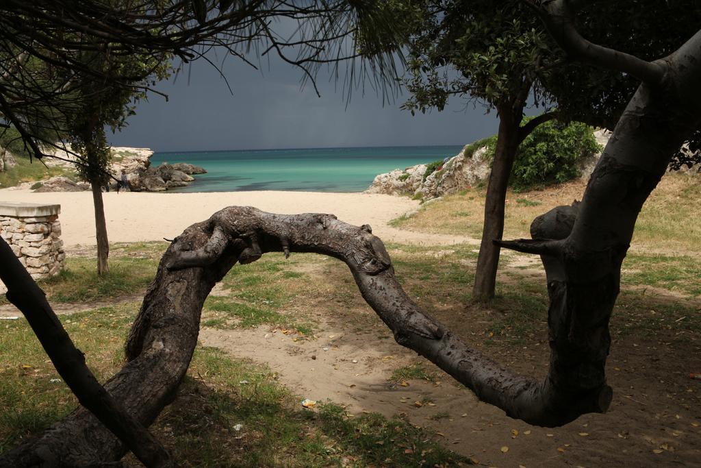 Playa Del Mar - Adults Only Bed & Breakfast Monopoli Luaran gambar